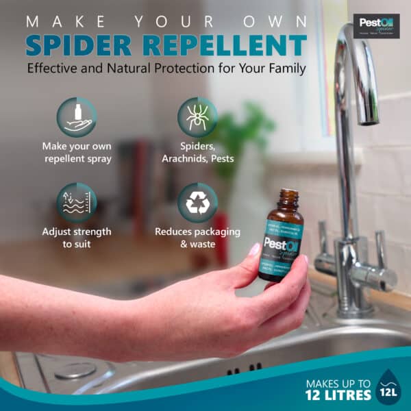 Makes spider repellent spray for indoors