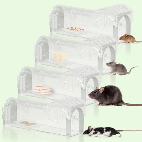 Humane Mouse Traps