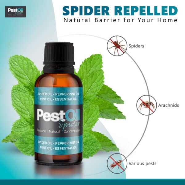 Spider PestOil - Image 3