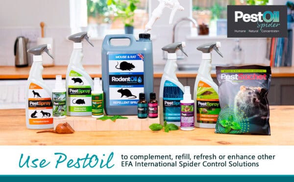 Spider PestOil - Image 2