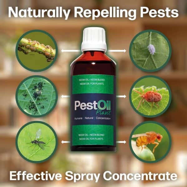 Plant PestOil - Image 2