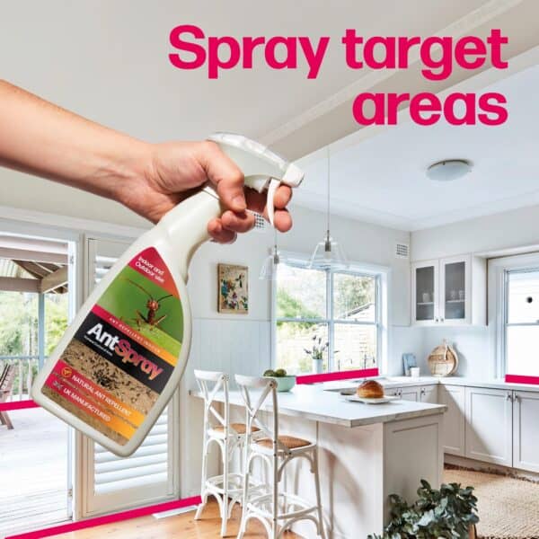 AntSpray - Image 2
