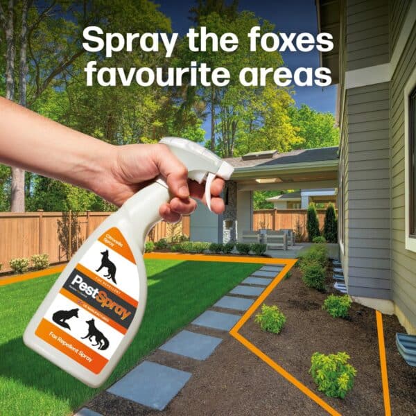 FoxSpray - Image 4