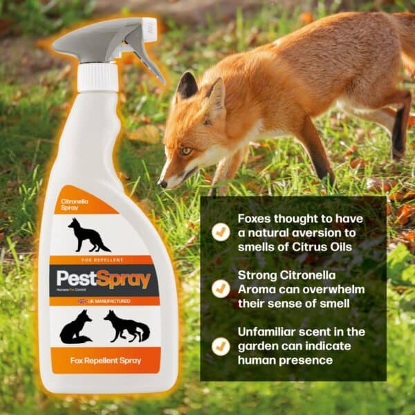 FoxSpray - Image 3