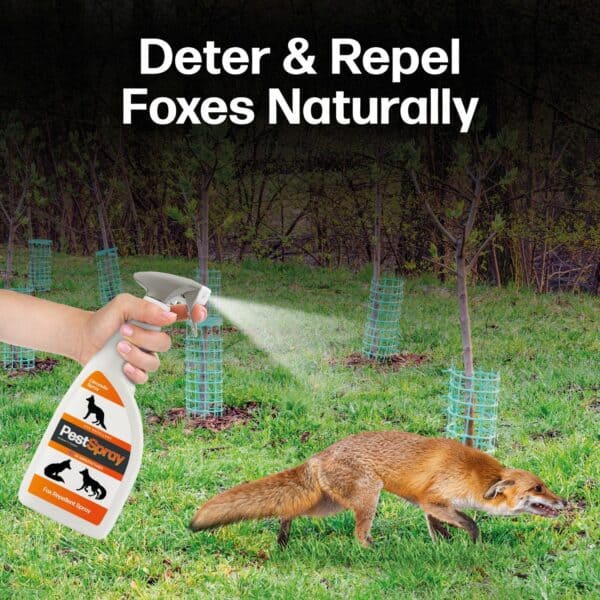FoxSpray - Image 2