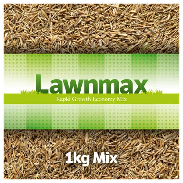 Lawnmax - Grass Seed economy mix