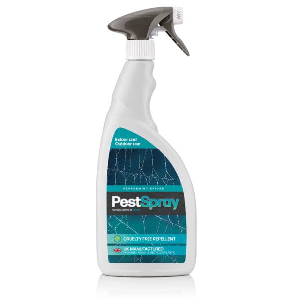Spider repellent spray