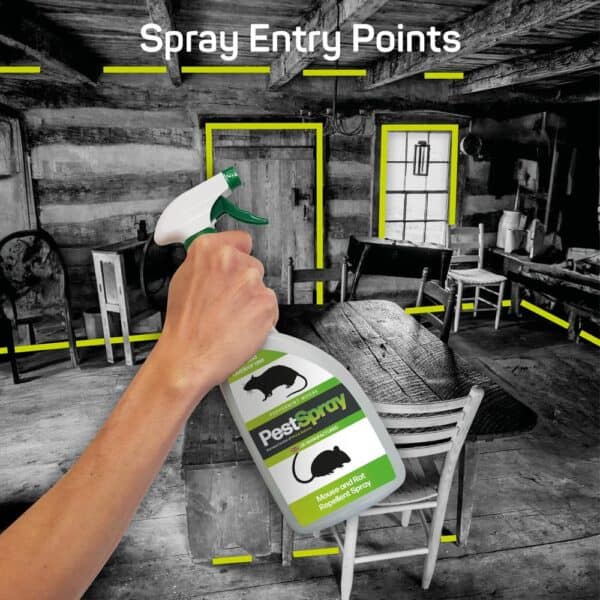 MouseSpray - Image 2