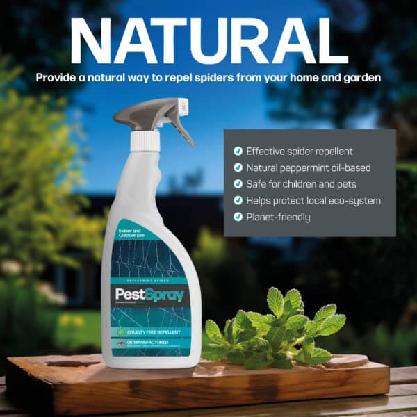 Natural peppermint spray