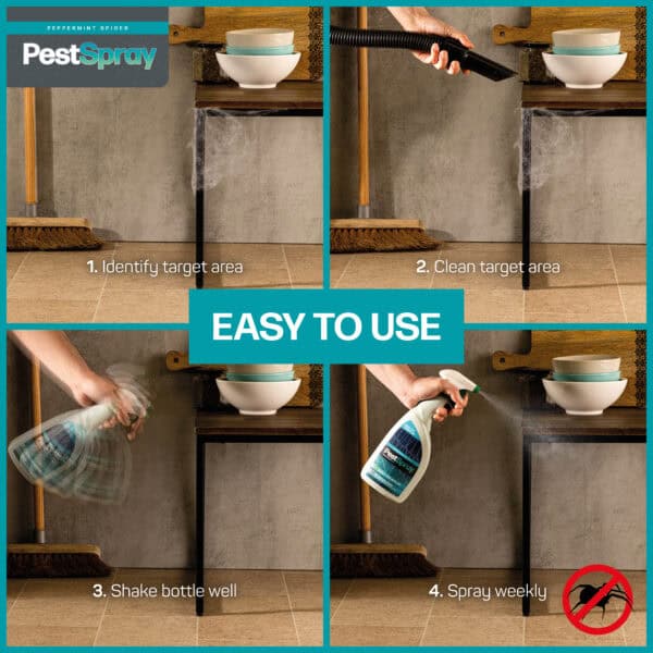 SpiderSpray - Image 4