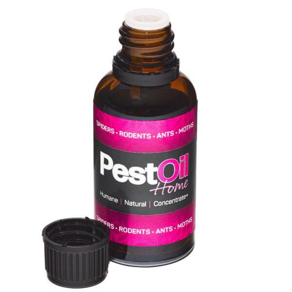 Home PestOil - Image 4