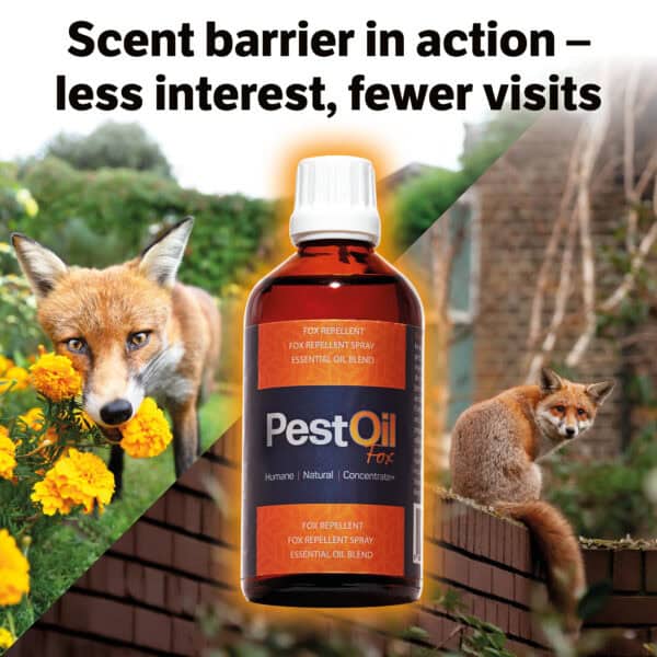 Fox PestOil - Image 3