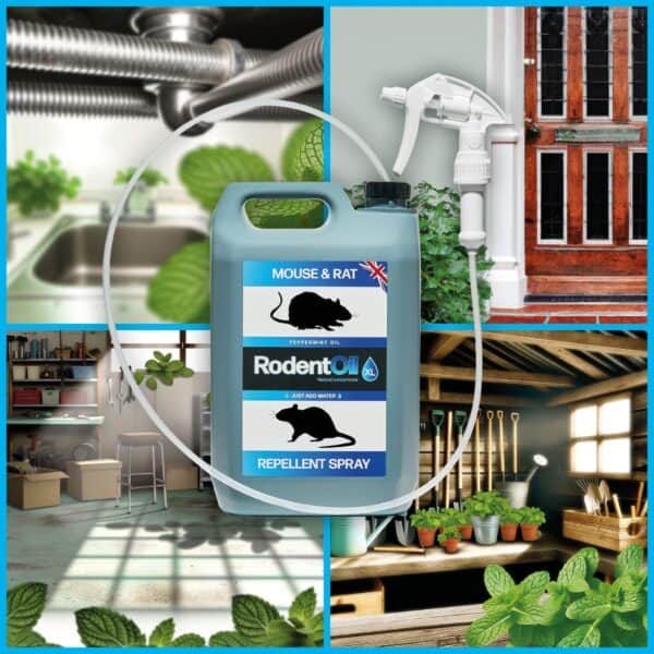 Rodent Oil XL - Image 3