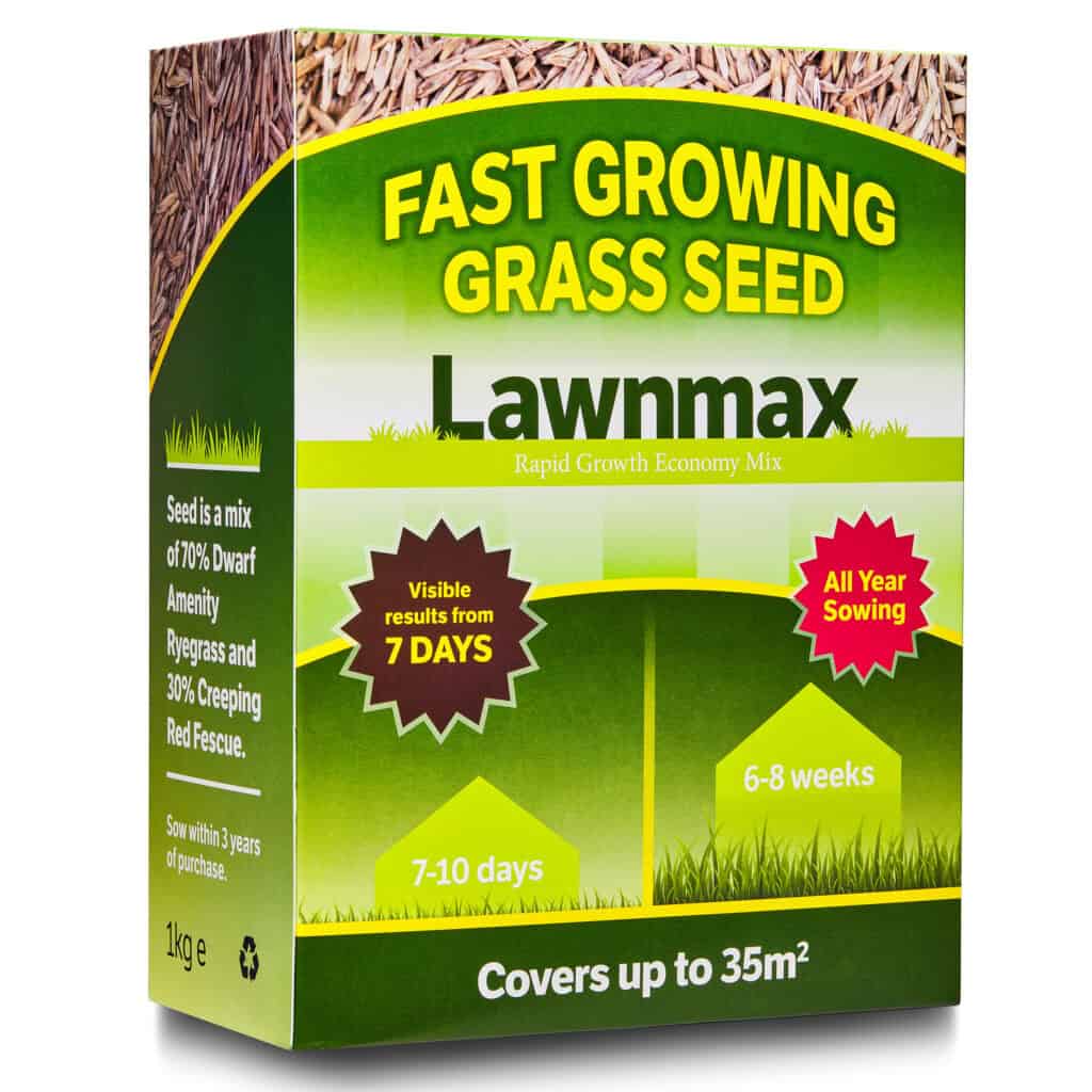 Fast growing grass seed UK