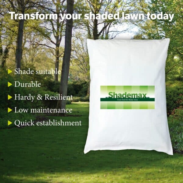 Shademax - Grass Seeds for Shady Areas - Image 4