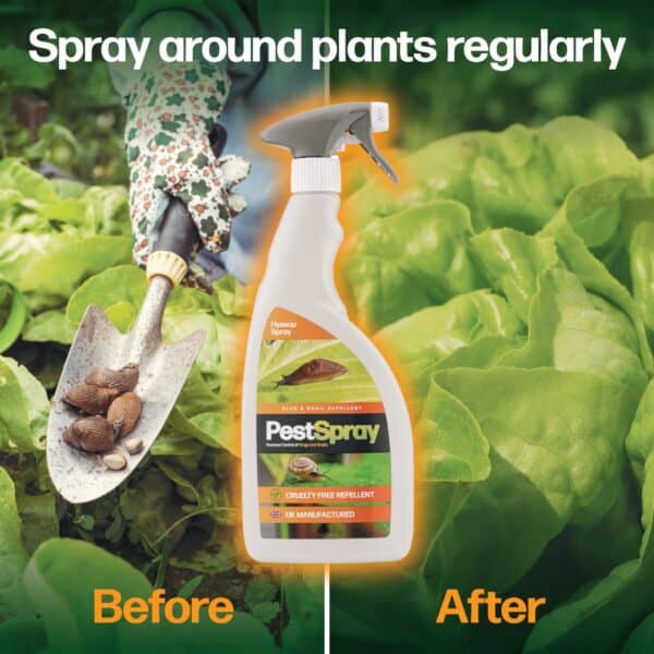 SlugSpray - Image 4