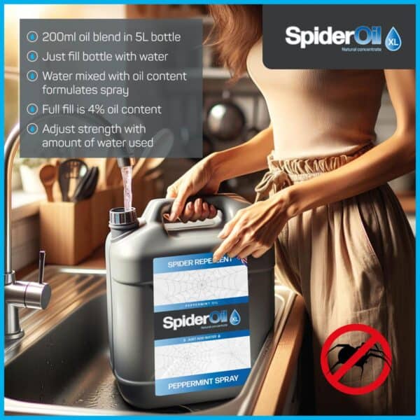Spider Oil XL - Image 2