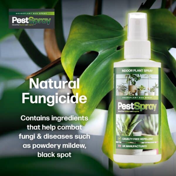 HousePlant Spray - Image 3