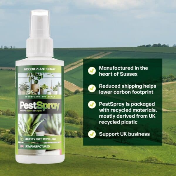 HousePlant Spray - Image 4