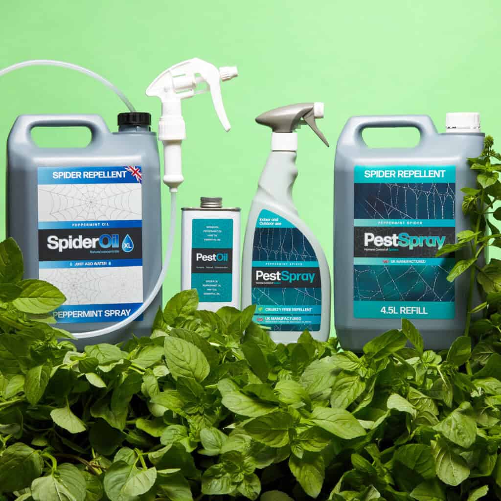 EFA International Spider Repellent range
